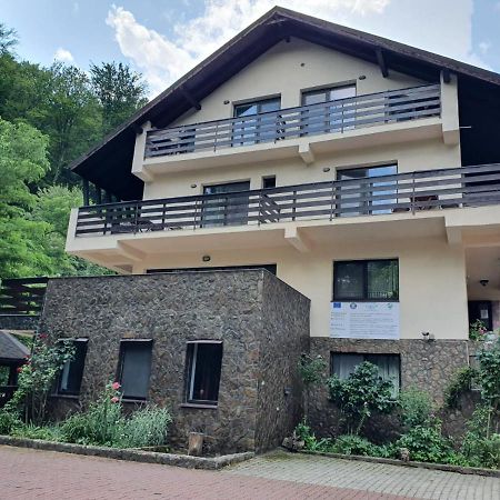 Pensiunea Iasmina Si Pescarul Călimăneşti Exterior foto