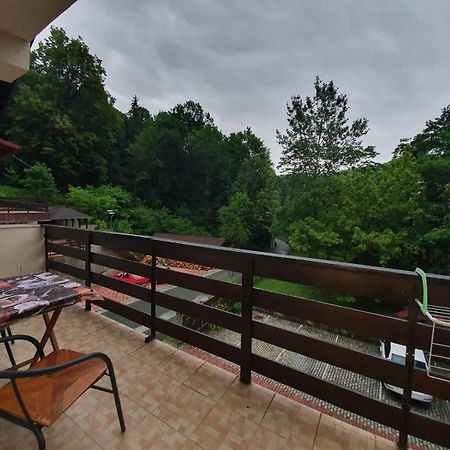 Pensiunea Iasmina Si Pescarul Călimăneşti Exterior foto