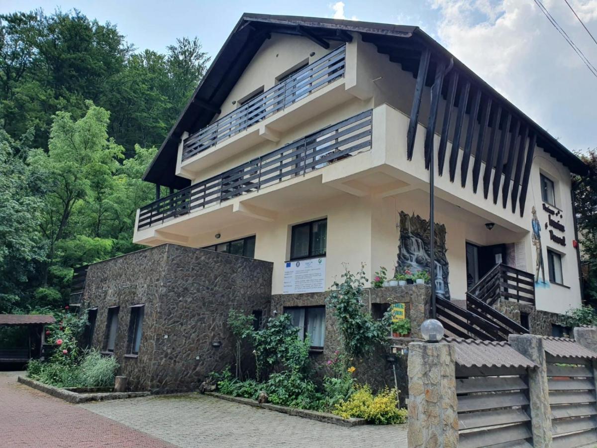 Pensiunea Iasmina Si Pescarul Călimăneşti Exterior foto