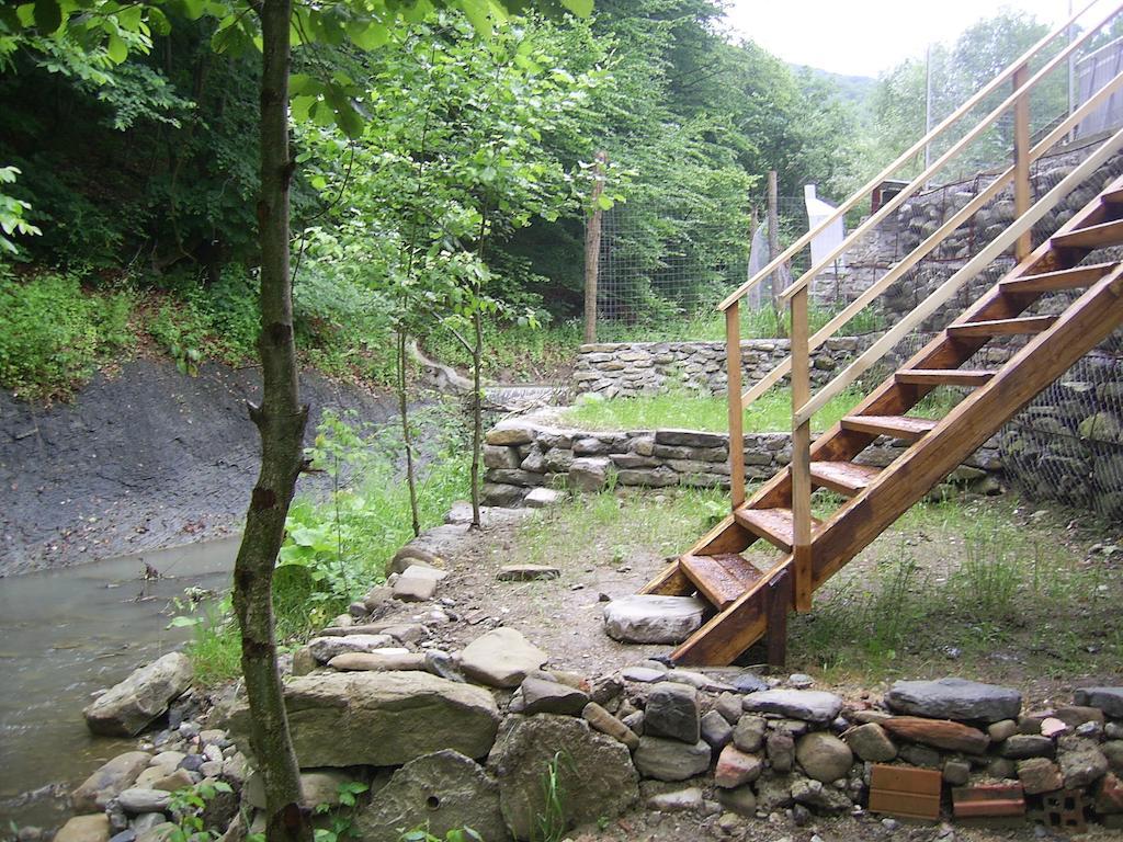 Pensiunea Iasmina Si Pescarul Călimăneşti Exterior foto
